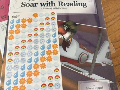 All About Reading Soar with Reading Activity Book Level 4 Color Edition Marie Rippel