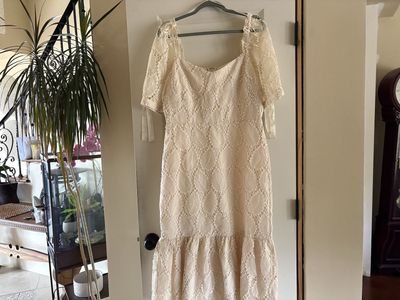 New Embroidered Organza Dress - Sz M or L