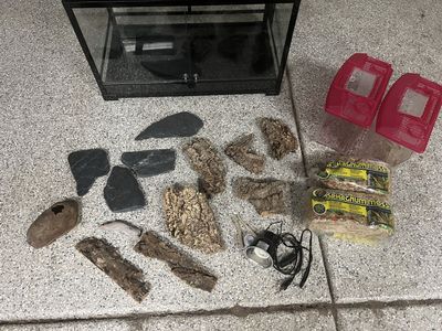 42-Gallon Terrarium And Accessories