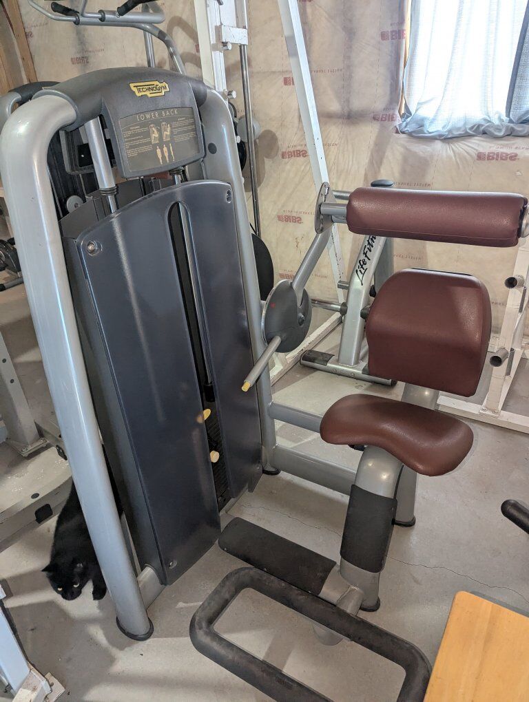 TECHNOGYM Back Extension