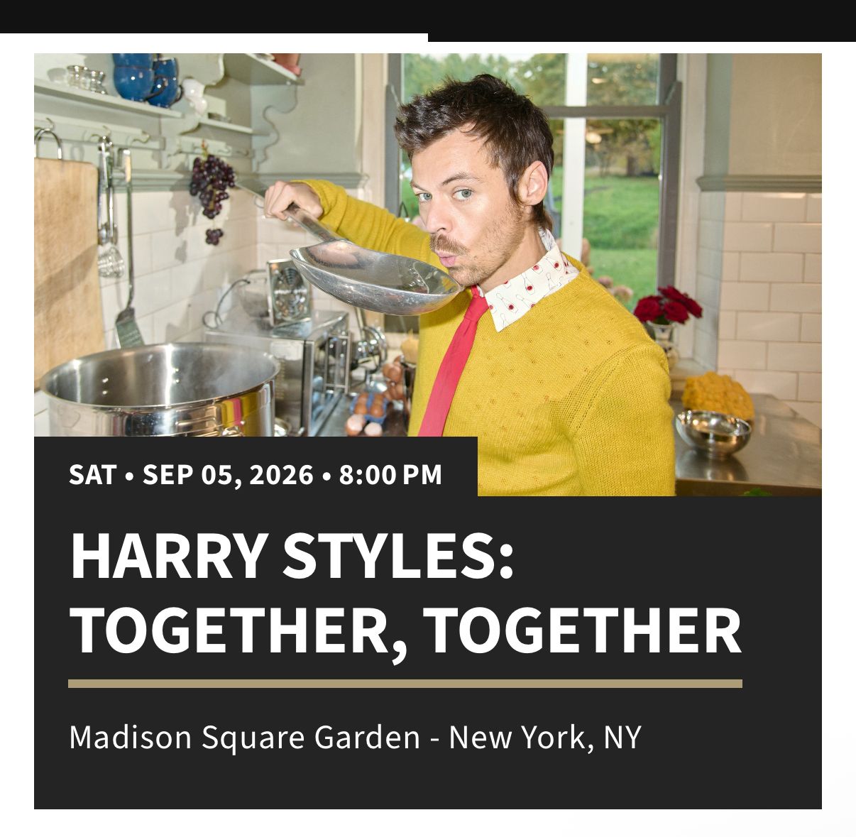 Harry Styles MSG 9/5 – Section 213 Row 6 (Great Lower Bowl View)