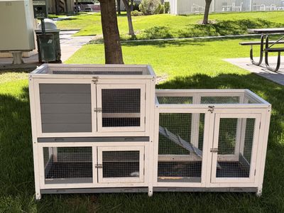 Large Rabbit Hutch