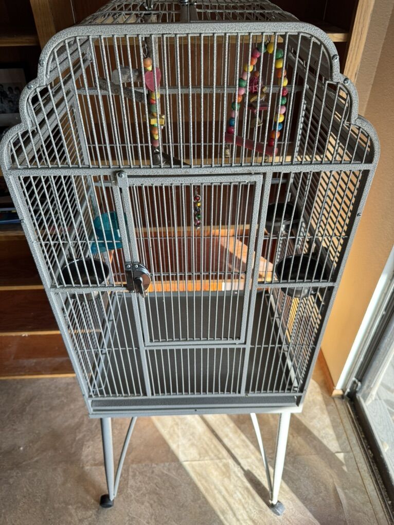 Bird Cage
