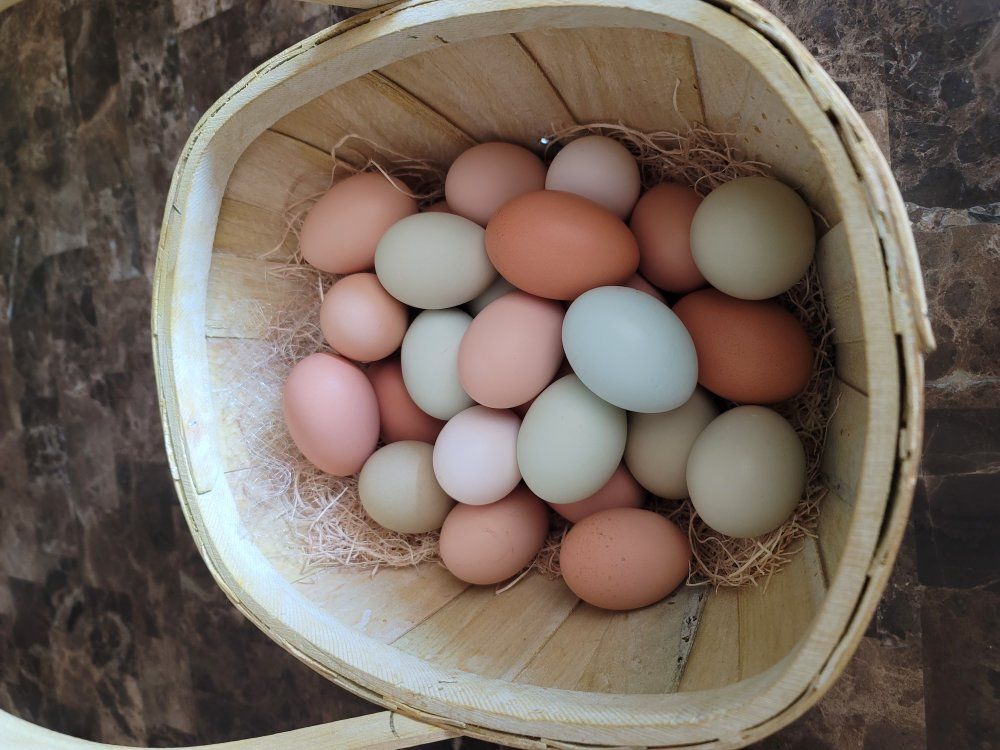 Farm Fresh Eggs