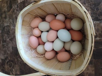 Farm Fresh Eggs