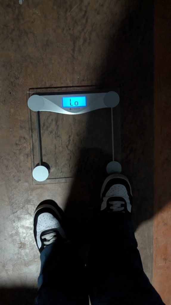 Etekcity Digital Body Weight Scale - Clear Glass