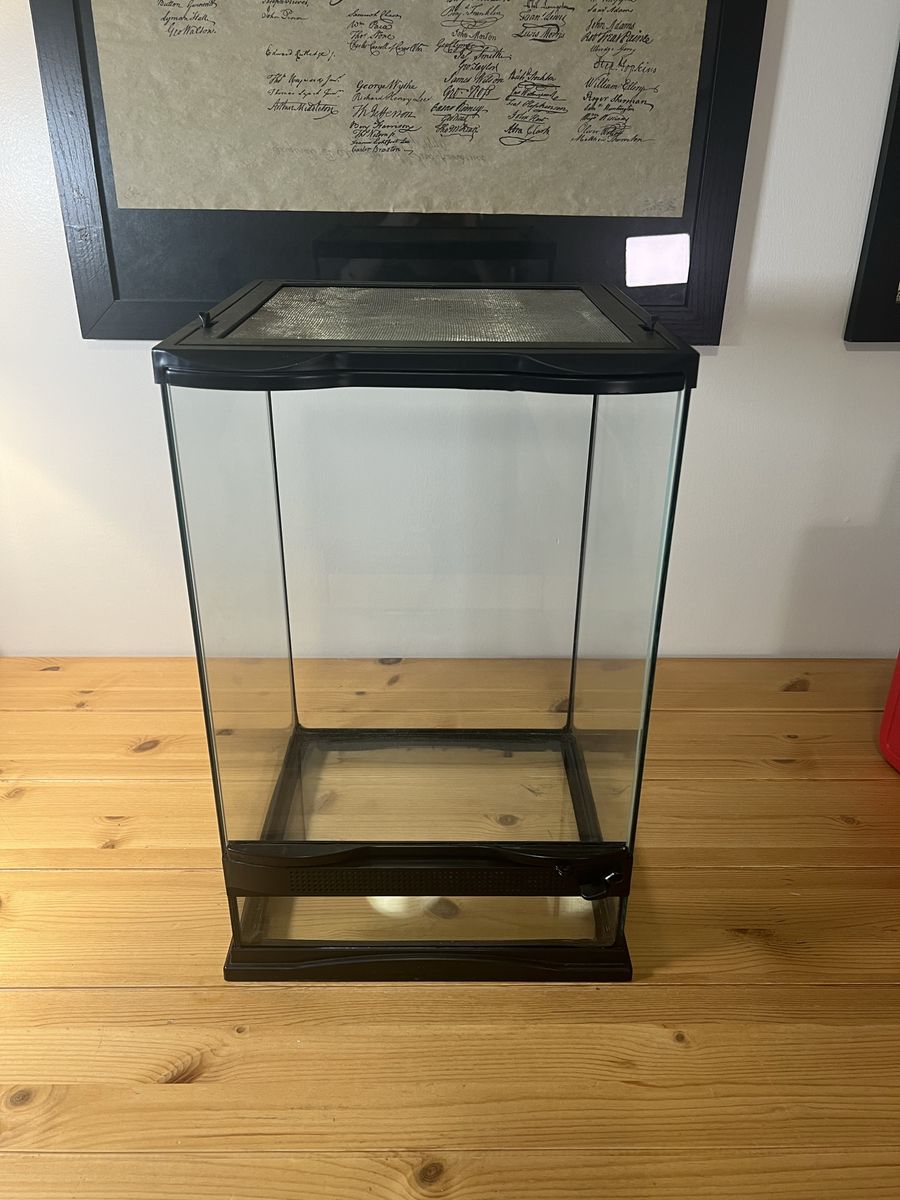 Main image 6