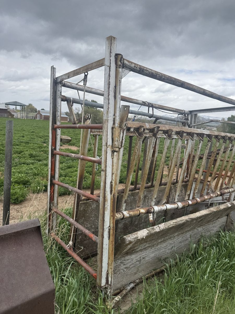 Older Squeeze Chute-**Price Reduced**
