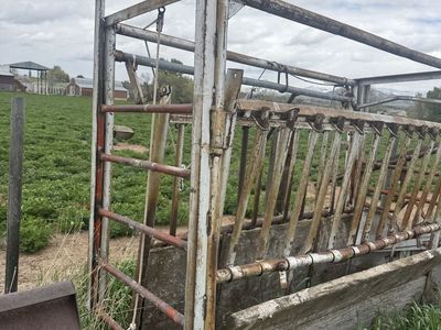 Older Squeeze Chute-**Price Reduced**