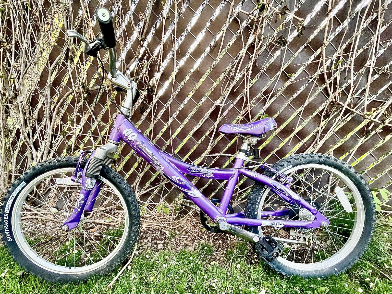 Trek Mountaintrack 60 Kids Bike