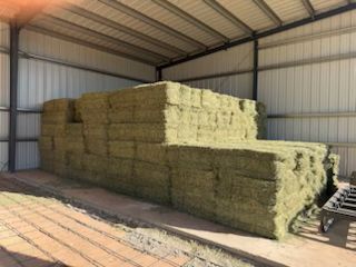 ALFALFA/Hay FOR SALE