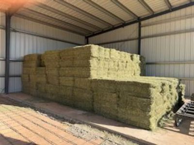 ALFALFA/Hay FOR SALE