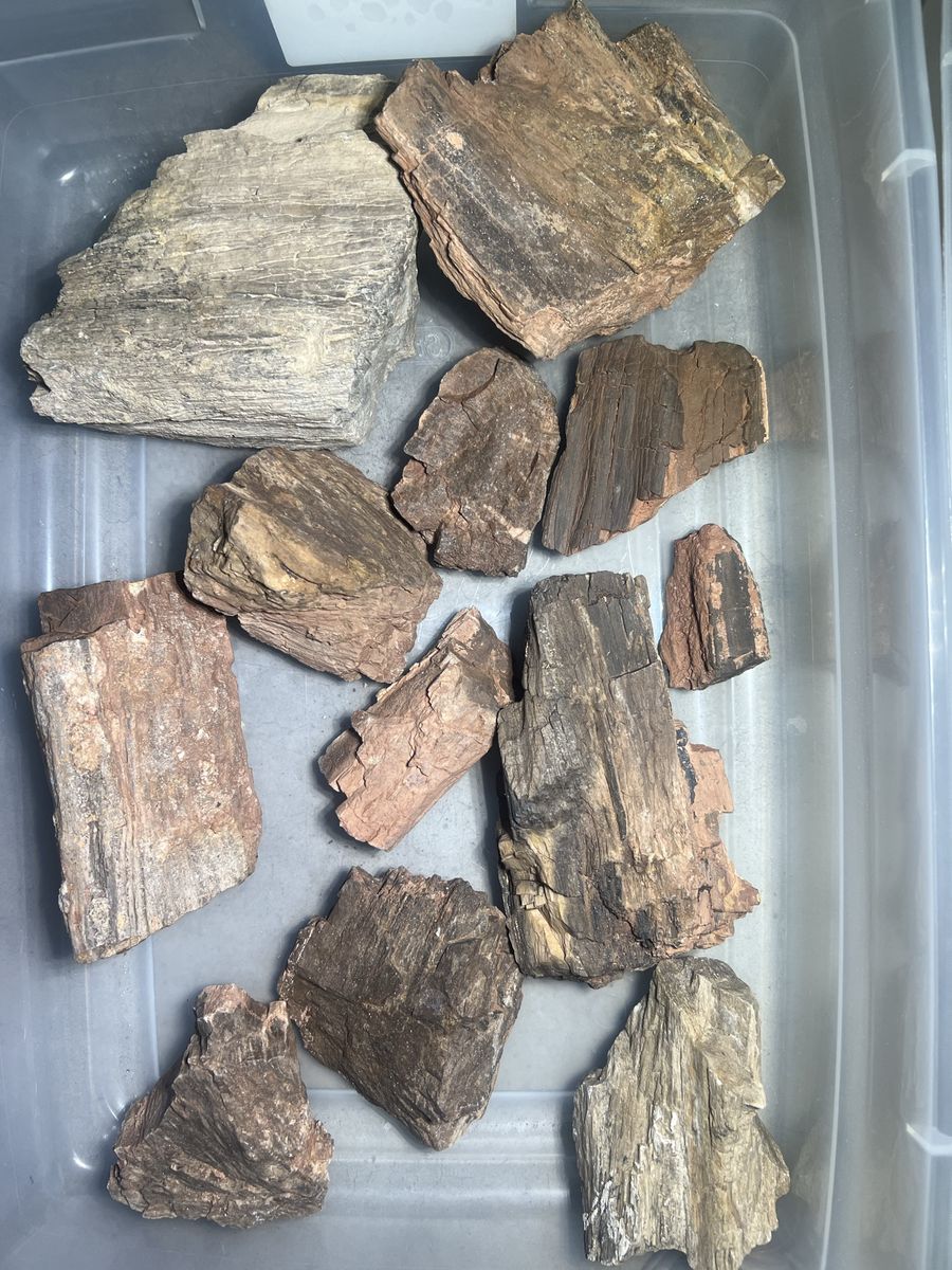 Main image 4