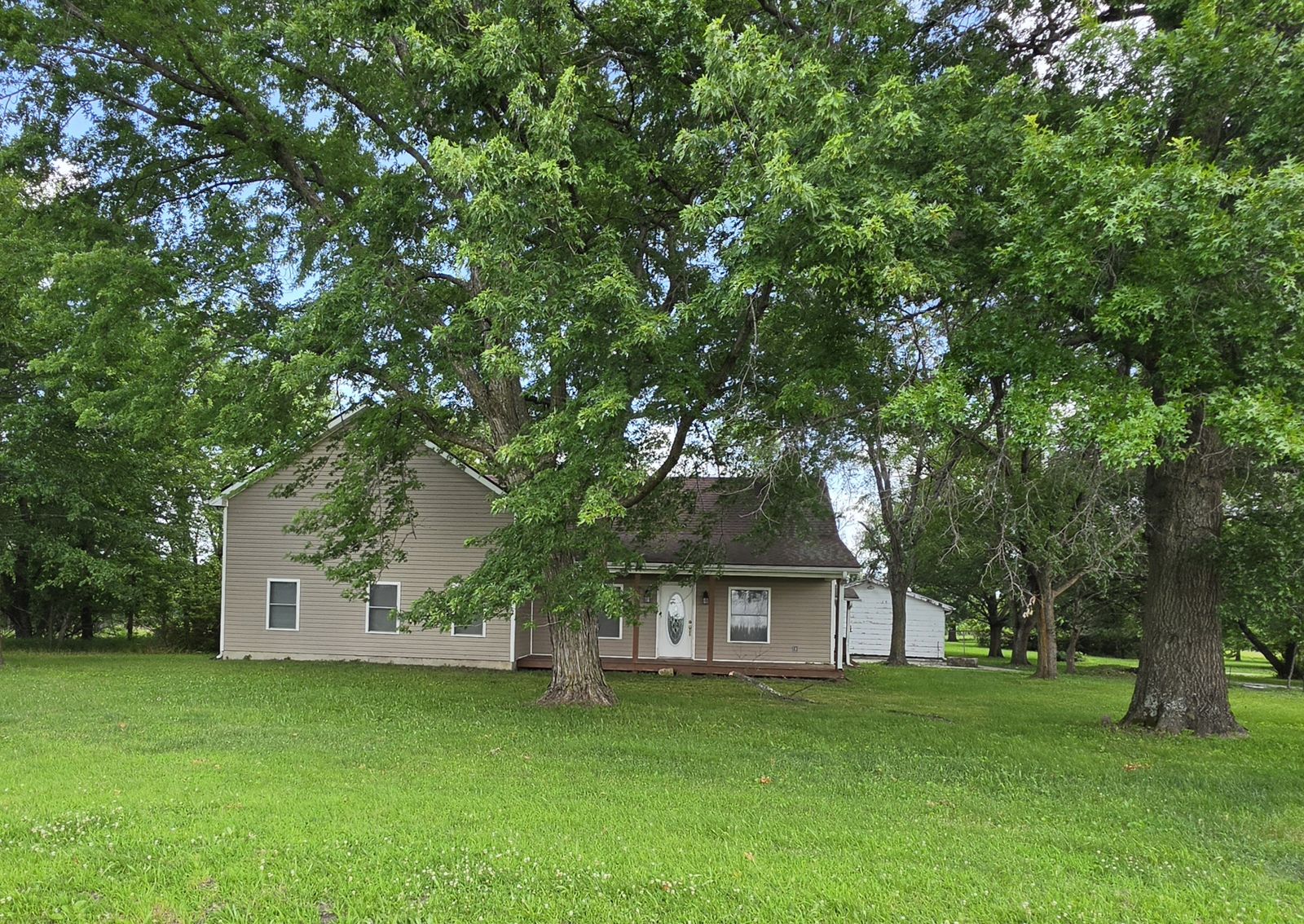 Main image 41