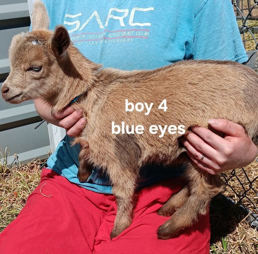 Main image 3