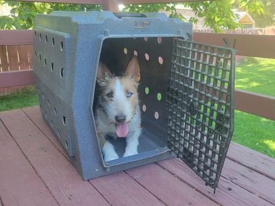 Intermediate ruffland kennel