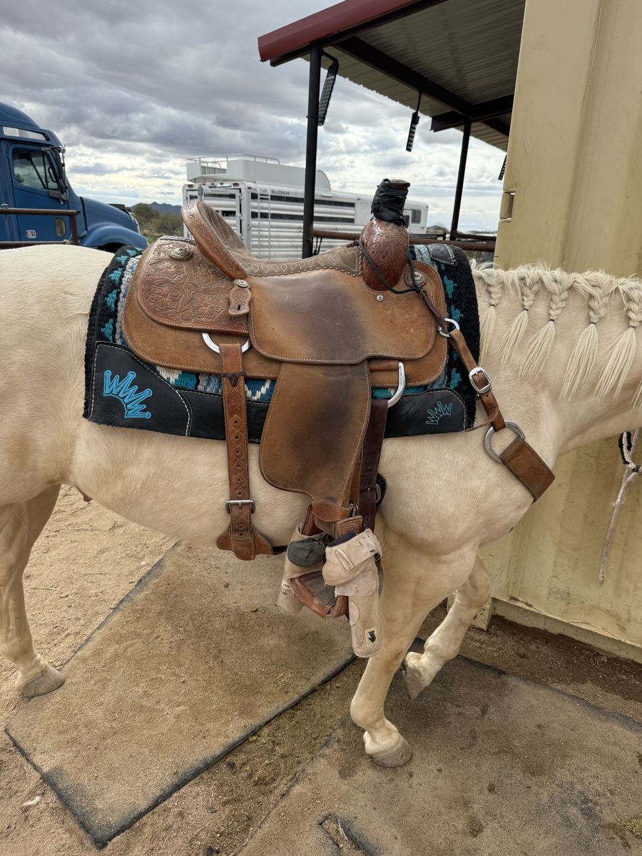Martin Roping Saddle