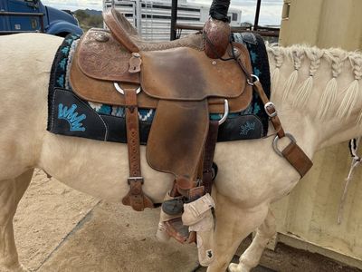 Martin Roping Saddle