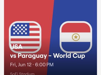 World Cup USA vs Paraguay (3 tickets) Deal! 330 Row 2!!