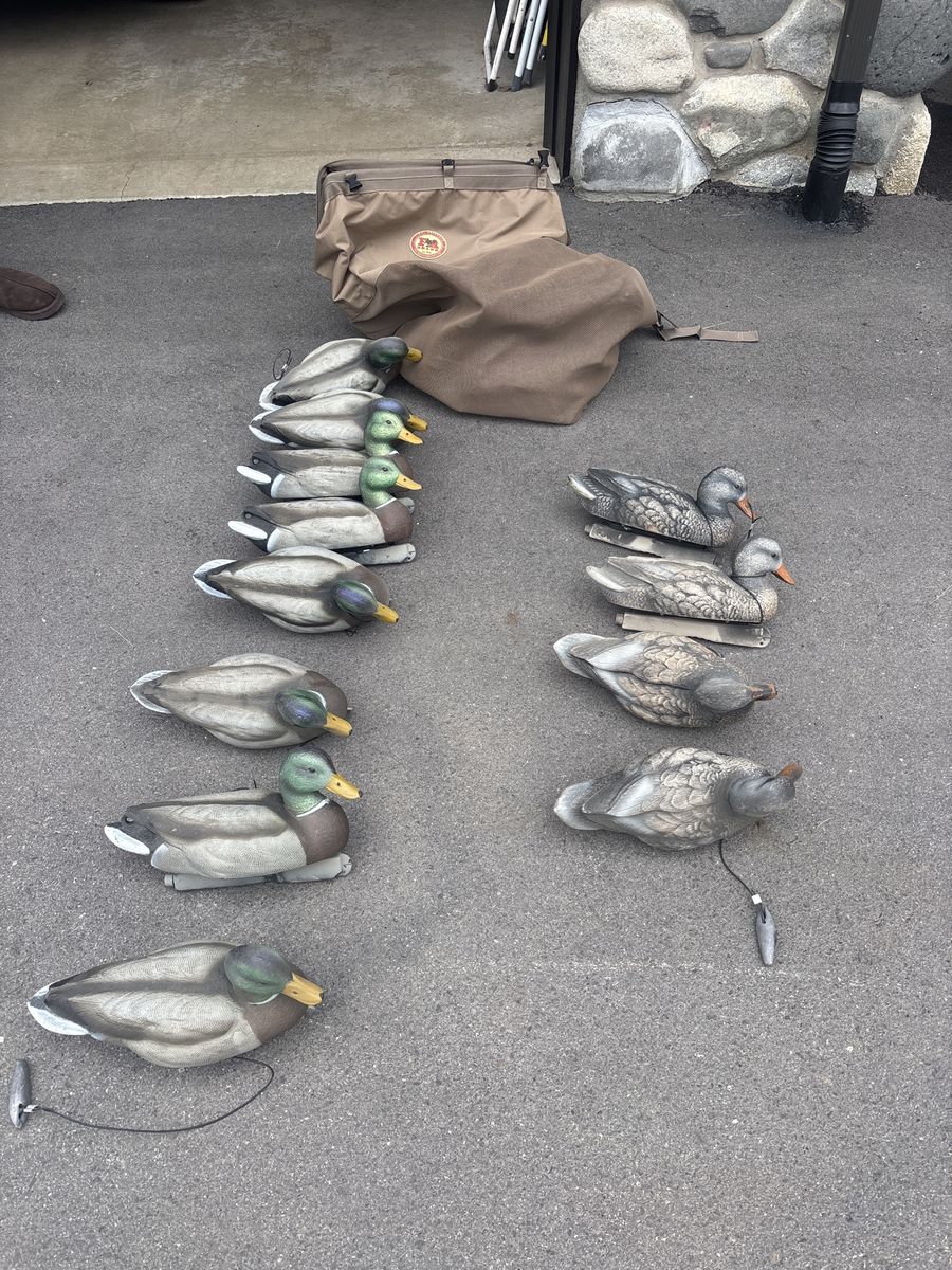 Dozen Hunting Decoys