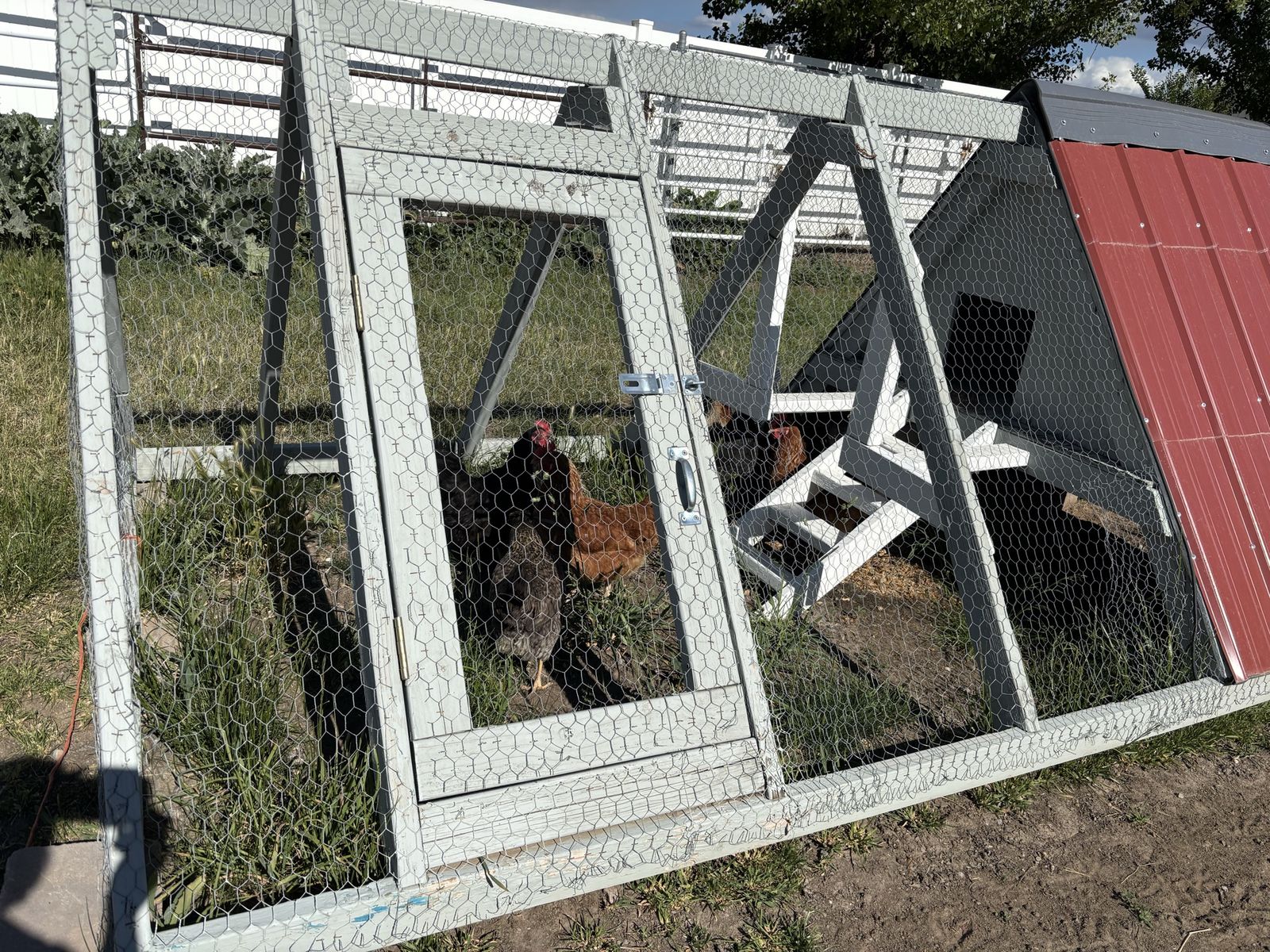 Main image 6
