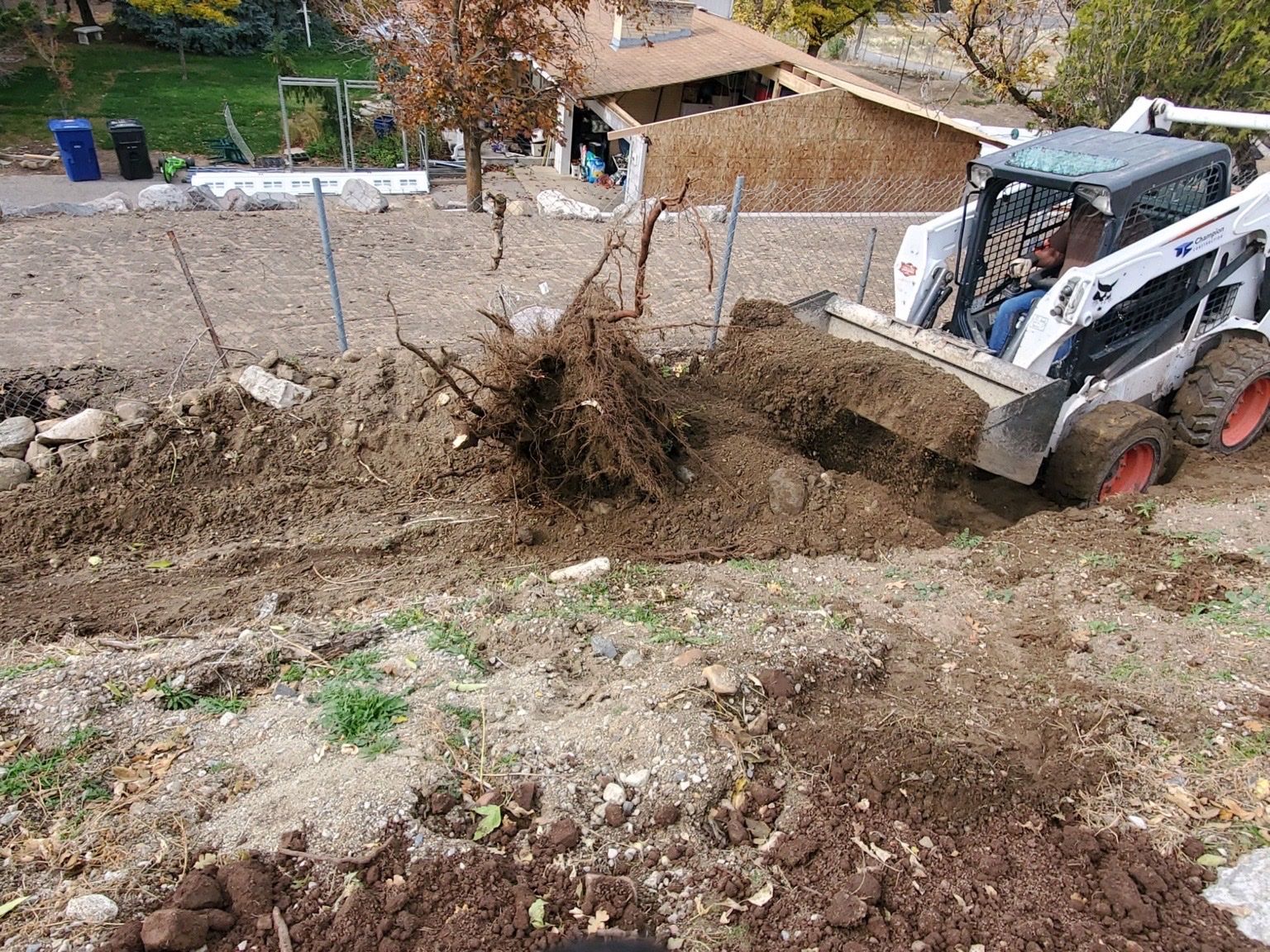 Main image 9