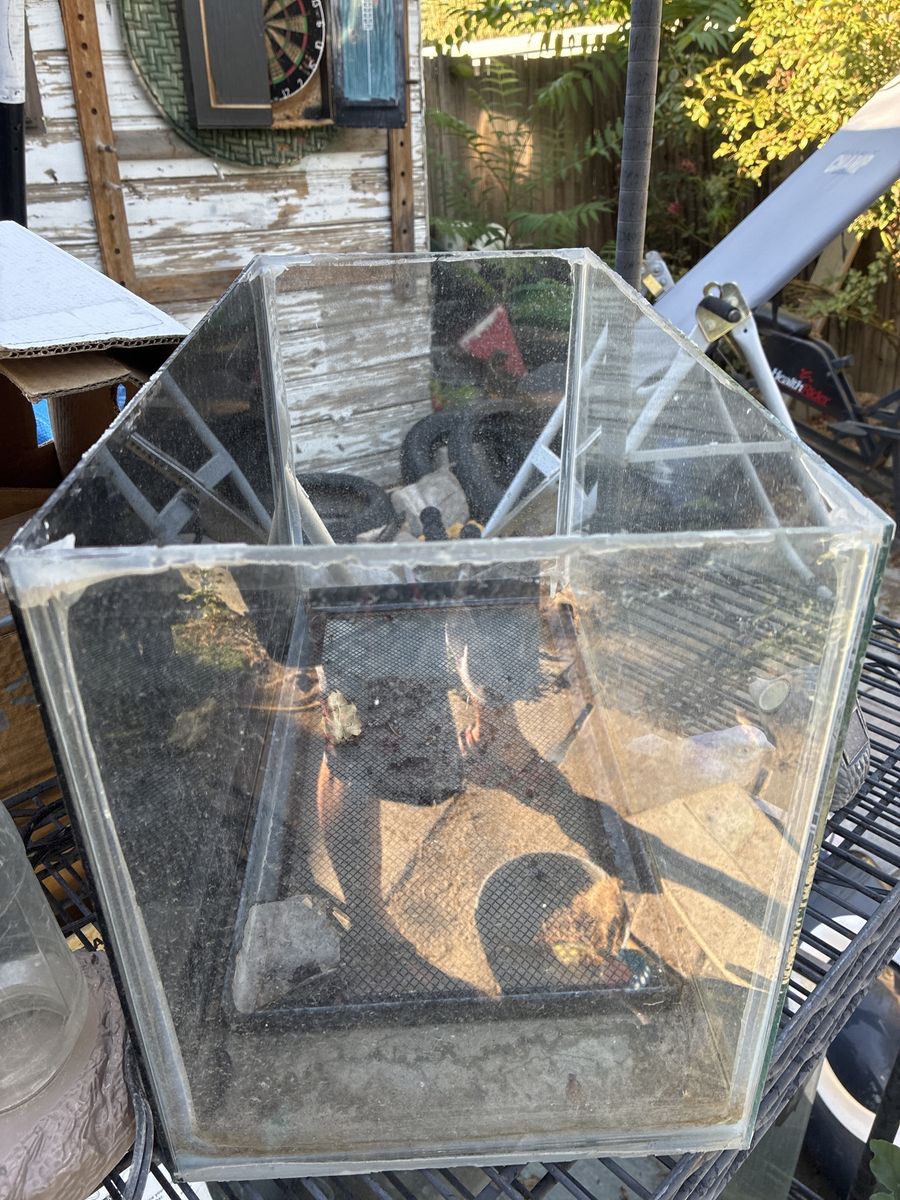 Fish tank