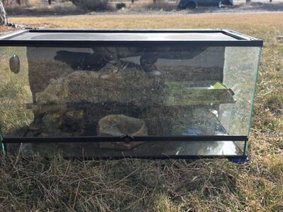 reptile tank