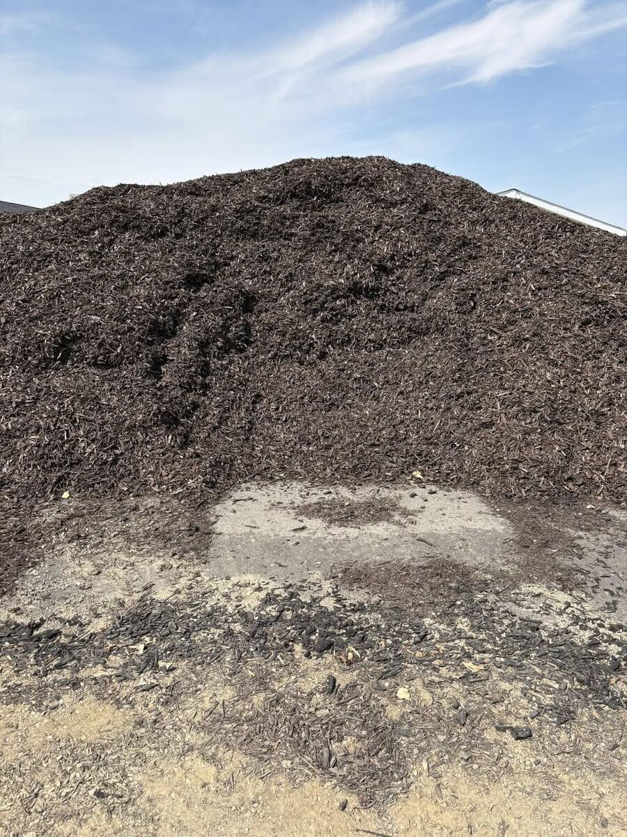 Chocolate Mulch