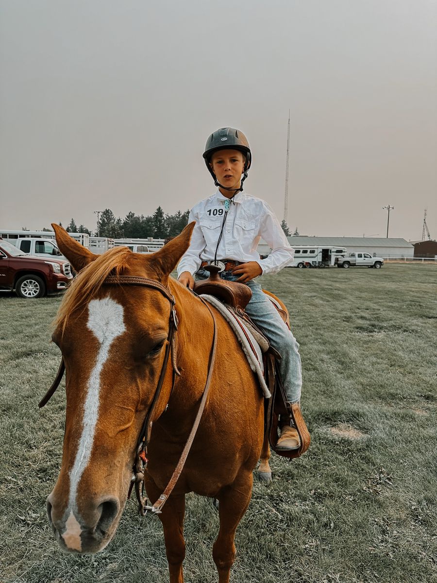 AQHA Mare Amazing Kids Horse-Small Size