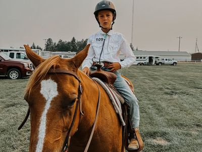 AQHA Mare Amazing Kids Horse-Small Size