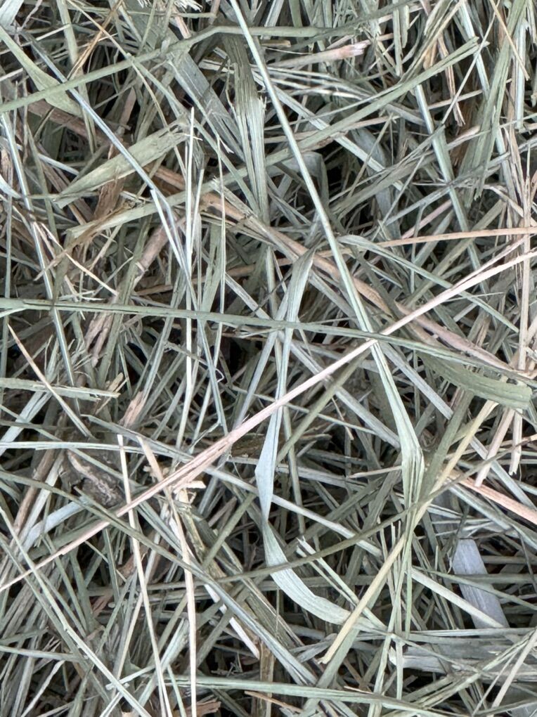 Horse Quality Grass Hay