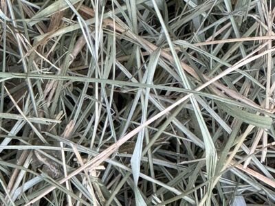 Horse Quality Grass Hay