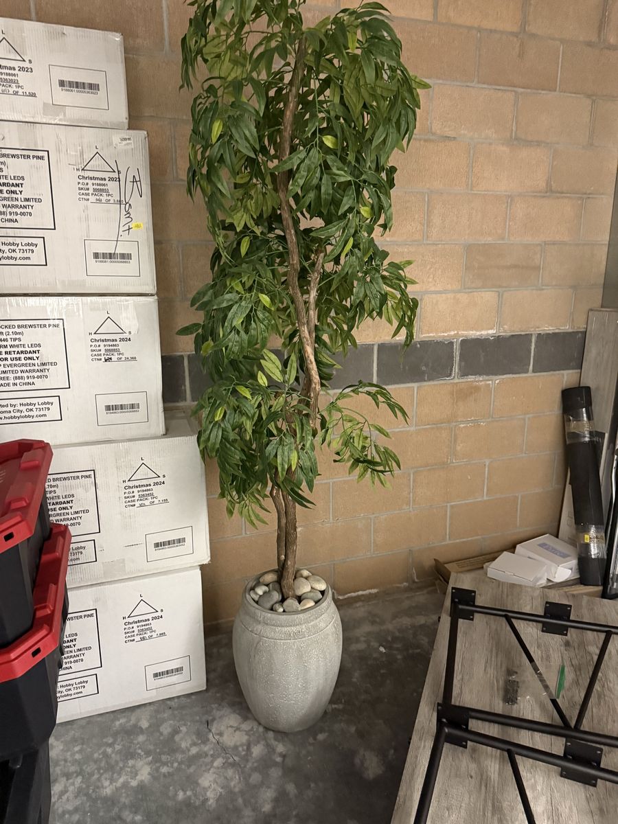 Potted Decorative Plant