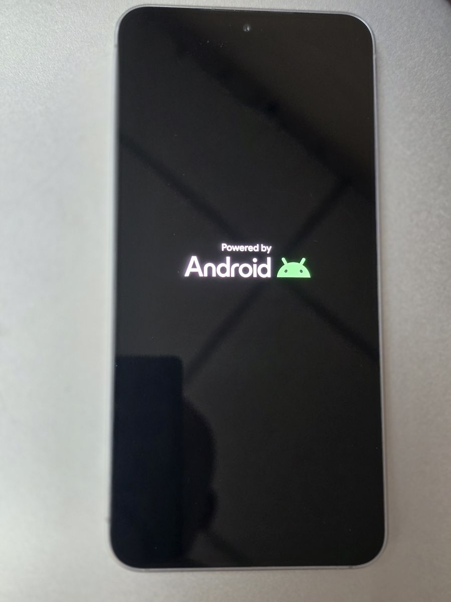 Samsung Galaxy S25