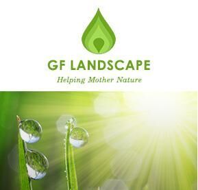 Grass Trimming | Lawn Mower | Lawn Maintenance