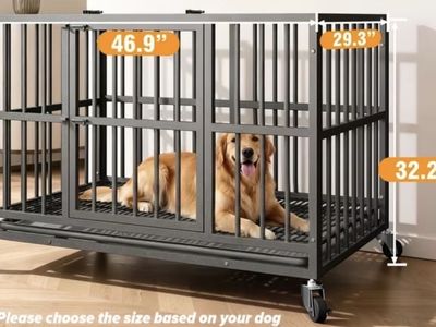Heavy Duty Dog Crate