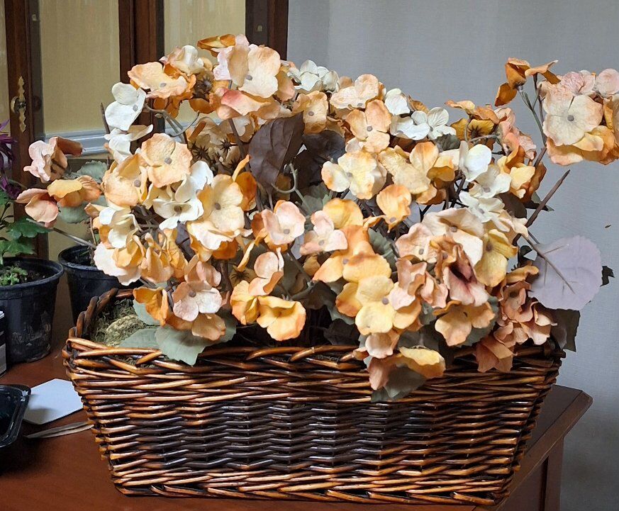 Very pretty silk hydrangeas plant with wicker bask