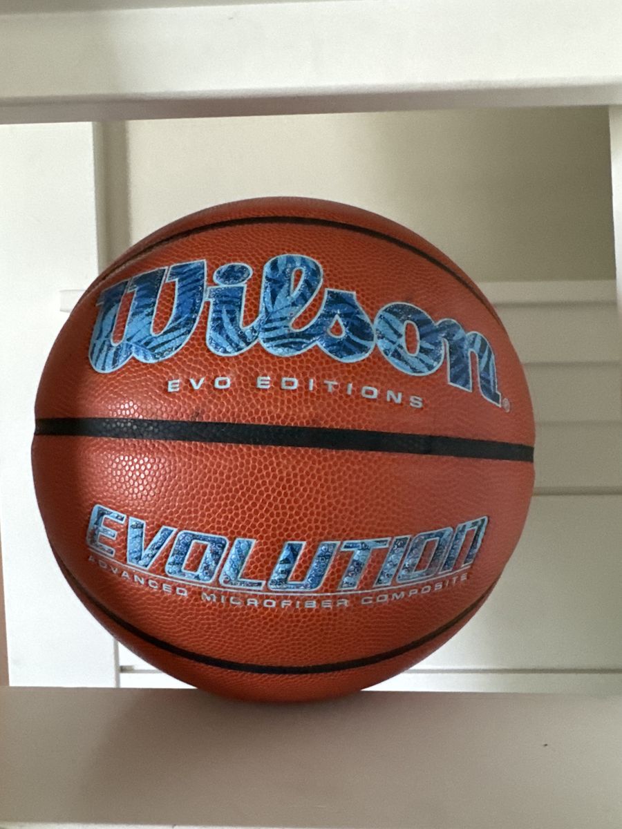 Wilson Evo Editions Size 7 Basketball