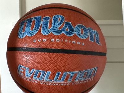 Wilson Evo Editions Size 7 Basketball