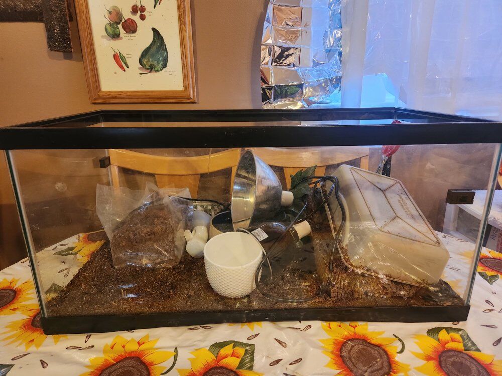 Aquarium used as a snake habitat