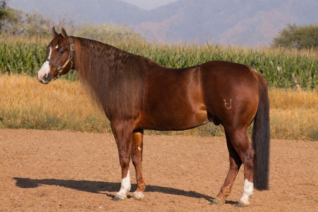 Hall Of Fame From Top To Bottom!!