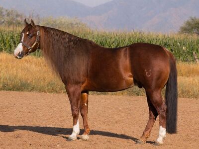 Hall Of Fame From Top To Bottom!!