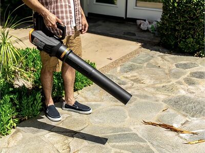 Worx Cordless Leaf Blower