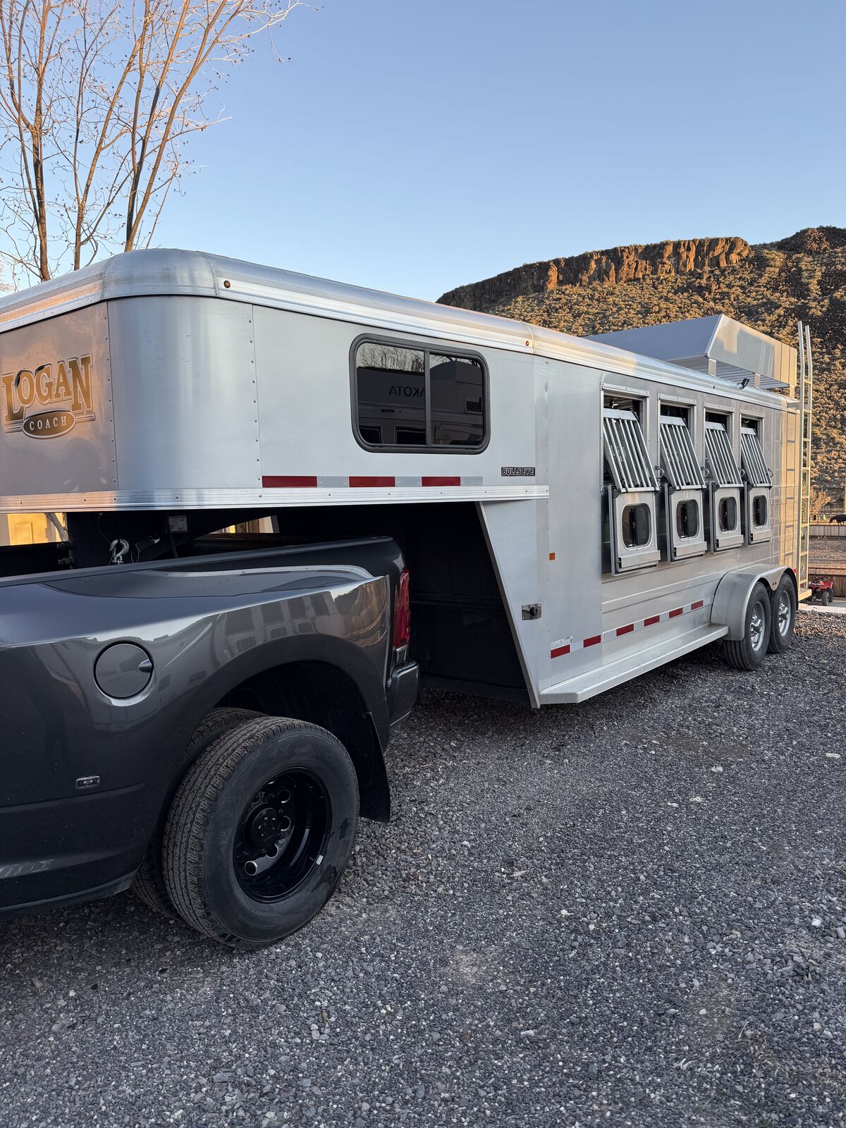 Logan bullseye 4 horse