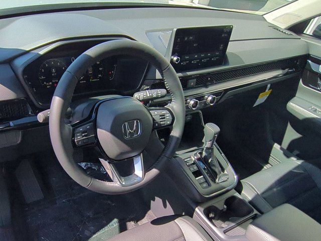 Main image 8