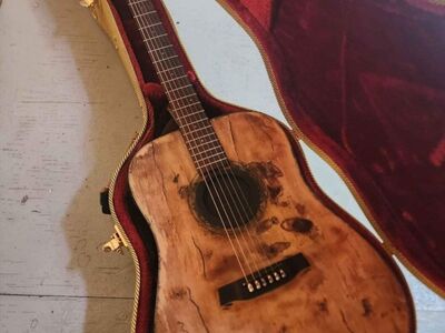 custom electric/acoustic guitar