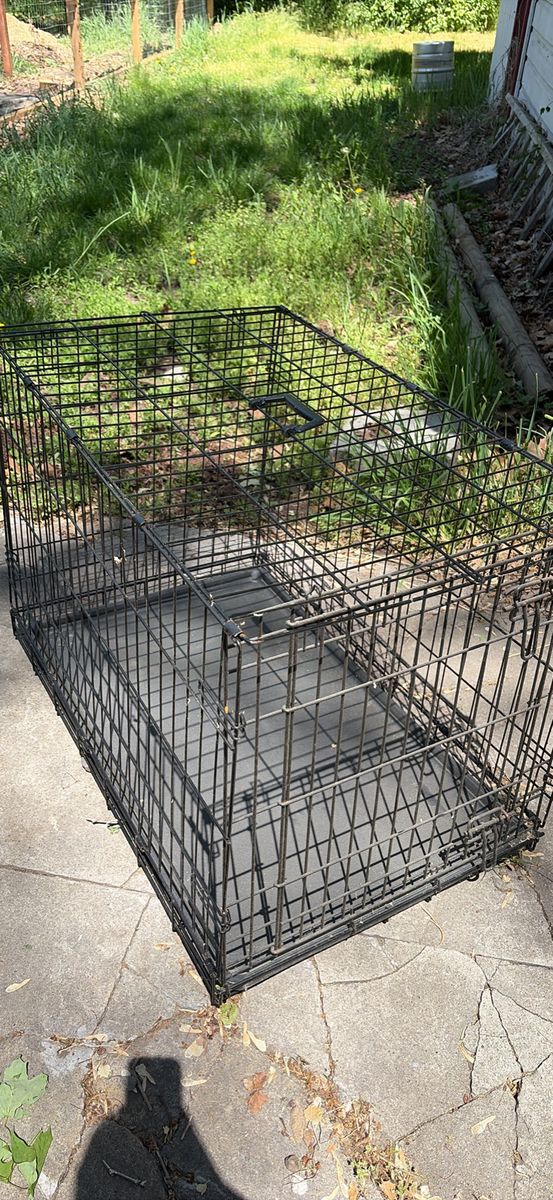 Large collapsible dog crate