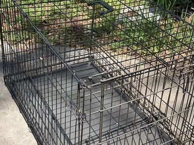 Large collapsible dog crate