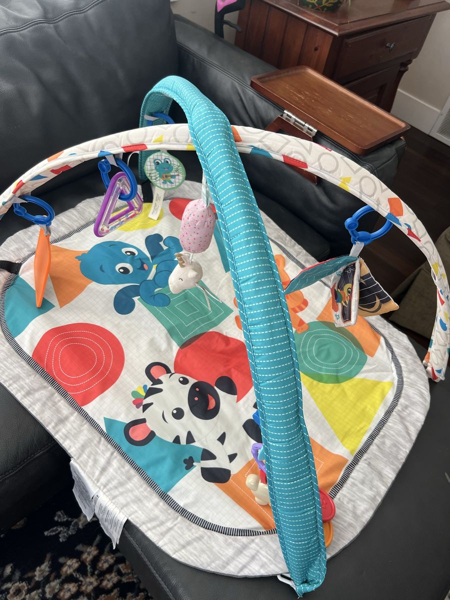 Baby Einstein Activity Gym & Play Mat with Hanging Toys